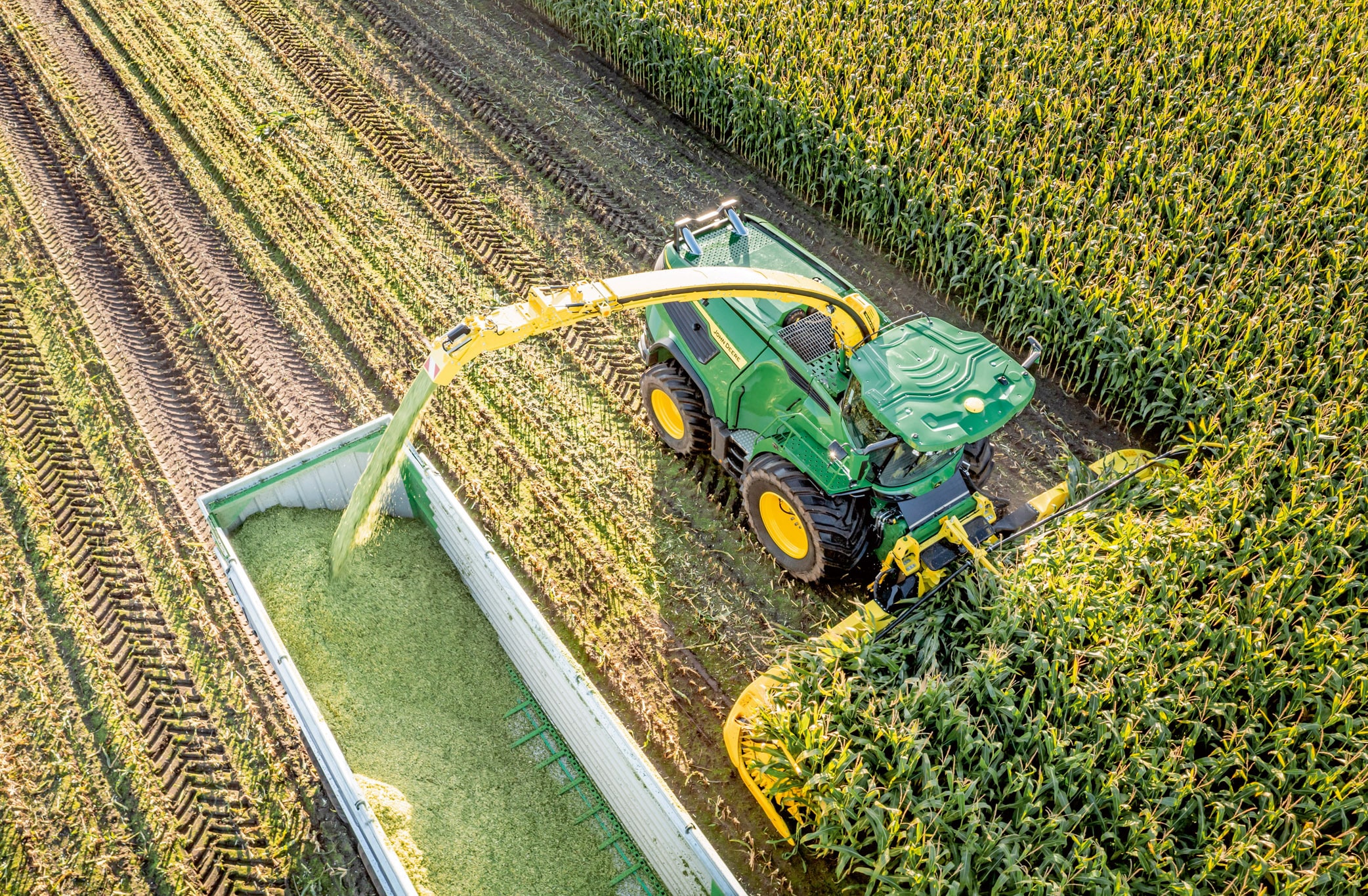 Ptičija perspektiva zelenog John Deere silažnog kombajna koji žanje kukuruz i prebacuje poseckanu silažu u prikolicu na velikom polju kukuruza.